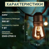 Ретро-гірлянда вулична 20 LED G40 довжина 10 метрів, тепле світло