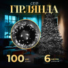 Гірлянда Нитка 100 LED довжина 6 метрів, білий