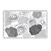 Килимок діатомітовий Rosette 58*38 см прямокутний Yiwu HP-42-96