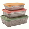 Набір контейнерів Herevin Rectangular Storage Bowl Set-2024 Colours, 0.6/1.05/1.75 л (163331-150)