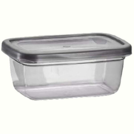 Контейнер Violet House 0493 Transparent 3 л