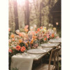 Набір келихів CD'A Swirly Spring, 4х210 мл