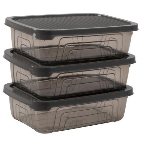 Набір контейнерів Herevin Style Grey 0.6 л (162331-012)